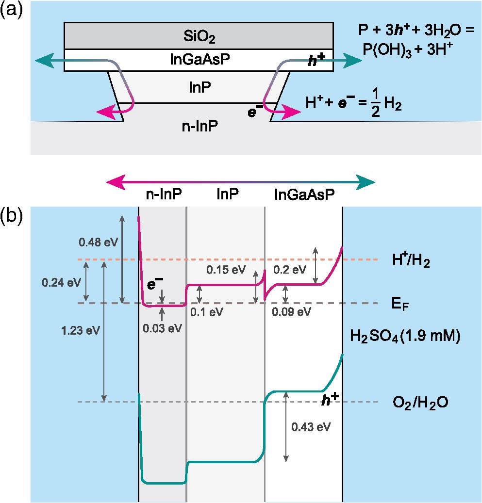 (a) Schematic diagram of a microdisk-on-substrate structure and the flow of electrons and holes enabling redox PEC reactions. (b) Band diagram depicting the energy levels along the charge carrier path between InGaAsP through InP pedestal and n+ InP substrate, with both InGaAsP and n+ InP substrate bounded by the electrolyte solution.