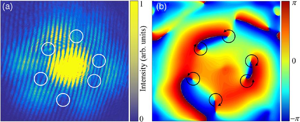 Momentum space vortex generation in the honeycomb lattice with the two-photon detuning being 20 MHz. (a) Experimentally measured momentum space image interference with the reference beam. The dislocations in fringes correspond to the vortices (marked by white circles). (b) The corresponding phase pattern extracted from the interference image. Black arrows show the rotation direction.