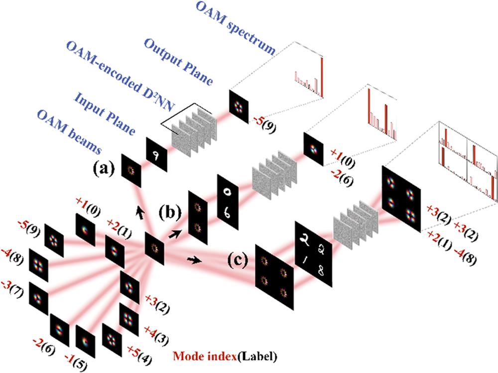 OAM-based all-optical classification schemes with diffractive deep neural networks (D2NNs). (a) A single classification task with a single detector OAM-encoded D2NN. (b) Multiple classification tasks with a single detector OAM-encoded D2NN. (c) Multiple classification tasks with a multidetector OAM-encoded D2NN. Adapted from Ref. 10.