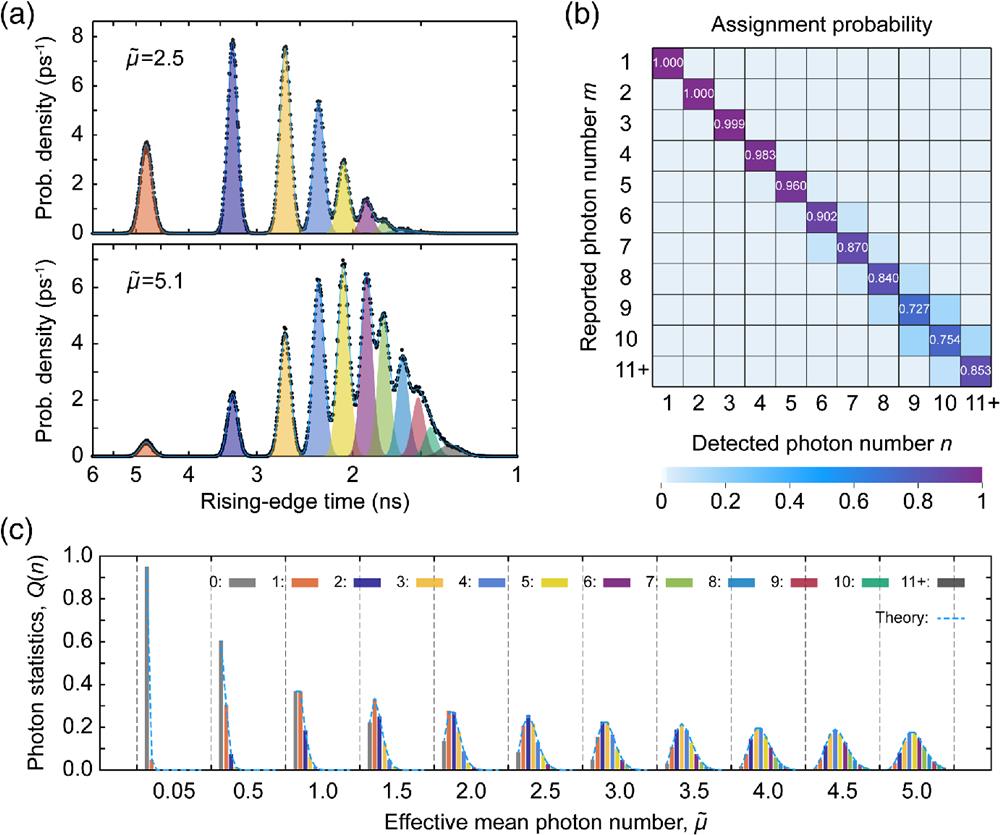 Photon-number resolution in an SMSPD. (a) Histograms (dots) and Gaussian fitting (lines) of the rising-edge time of response pulses under pulsed laser illumination with an effective mean photon number μ˜ at 2.5 and 5.1. Color areas represent the decomposed Gaussian functions. (b) Confusion matrix illustrating the probabilities of assigning n detected photons to m reported photons, where the diagonal terms Pnn represent the photon-number readout fidelity. (c) Photon count statistics reconstructed from the distributions of pulse rising-edge time at different effective mean photon numbers μ˜ ranging from 0.05 to 5. The measured photon count statistics (color bars) align closely with the Poisson statistics of the coherent source (dashed lines).