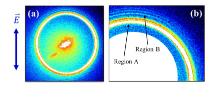 (a) The raw image of Al+ with O\begin{document}$ _2 $\end{document} as carrier gas recorded at 193 nm and (b) nearly a quarter part of the enlarged image, in which the inner ring (region A) has a lower velocity and the angular distribution tends to be isotropic compared to that of the outer region (region B). The polarization direction of the laser is shown in the figure.