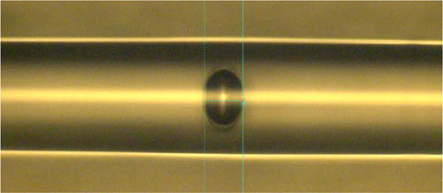 Digital microscope image of the hybrid sensor.