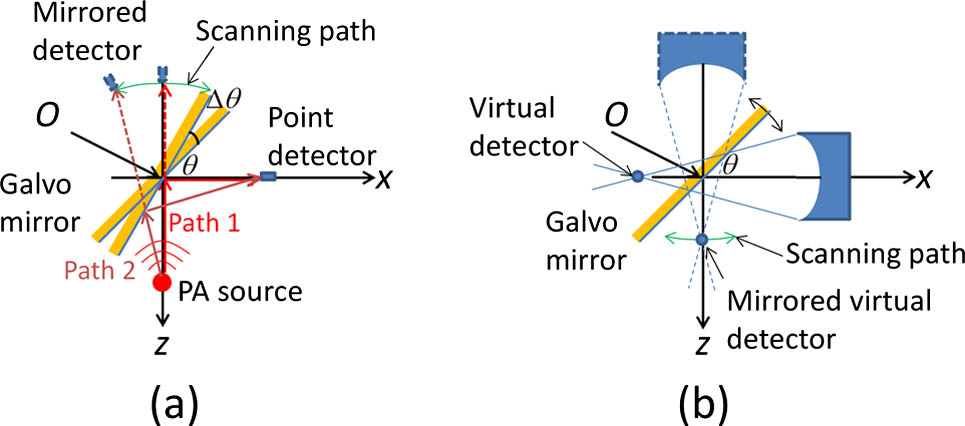 Schematic illustration of the SM-SAFT. (a) Point detector. (b) Virtual detector.