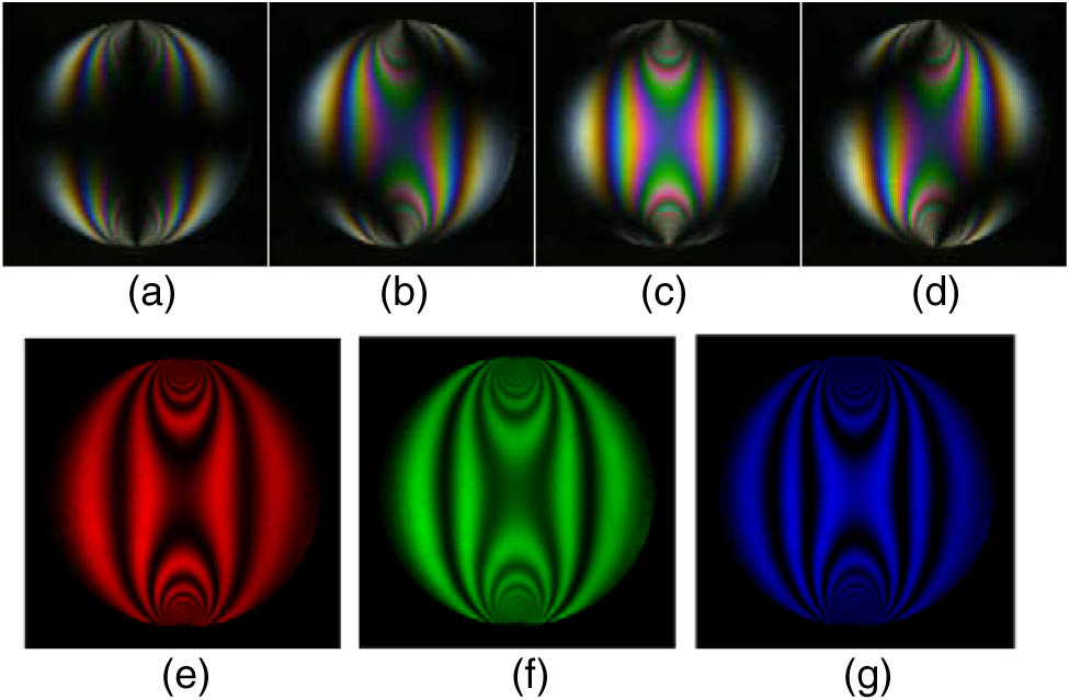 Experimentally obtained images of a disc under diametrical compression using the four-step approach: (a)–(d) I0–I3. (e)–(g). Fringe maps of R, G, and B planes calculated using Eq. (5).