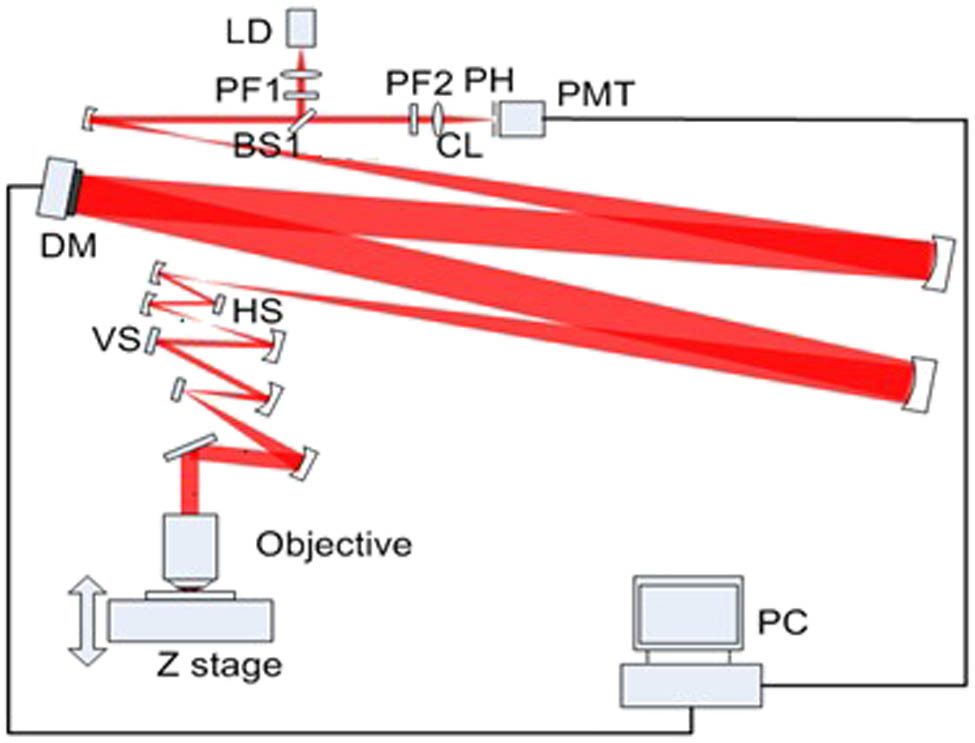 Scheme of AO confocal fluorescence microscopy system. BS: beam splitter. PF: bandpass filter. HS: horizontal scanner. VS: vertical scanner. PH: pinhole. CL: collecting lens.