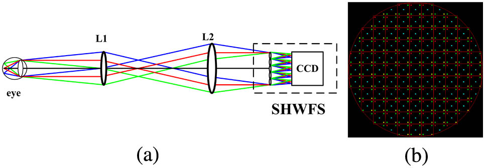 (a) Layout of the SHWFS and (b) the image spots on the CCD in the SHWFS. L1 and L2 are used to accommodate to the pupil of the eye and the diameter of the SHWFS. The square indicates the subarea of the SHWFS. The five spots in every subarea are the images of five objects in the retina, respectively.