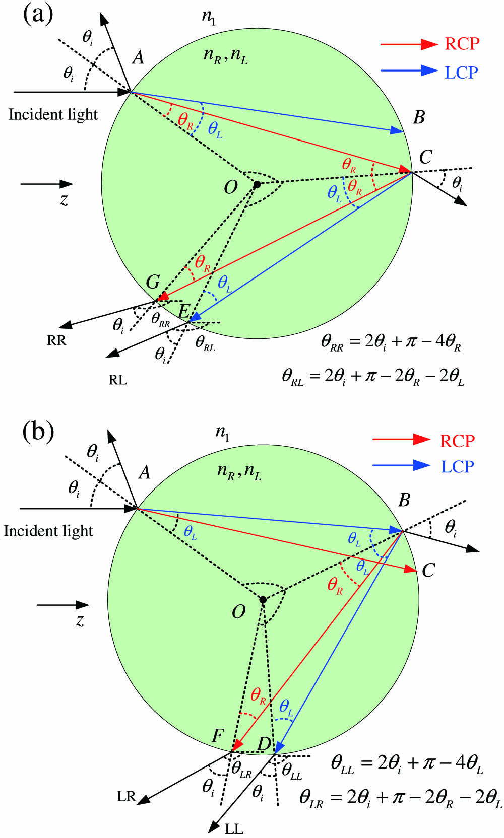 Light interaction with the chiral sphere. (a) AC and its following traces. (b) AB and its following traces.