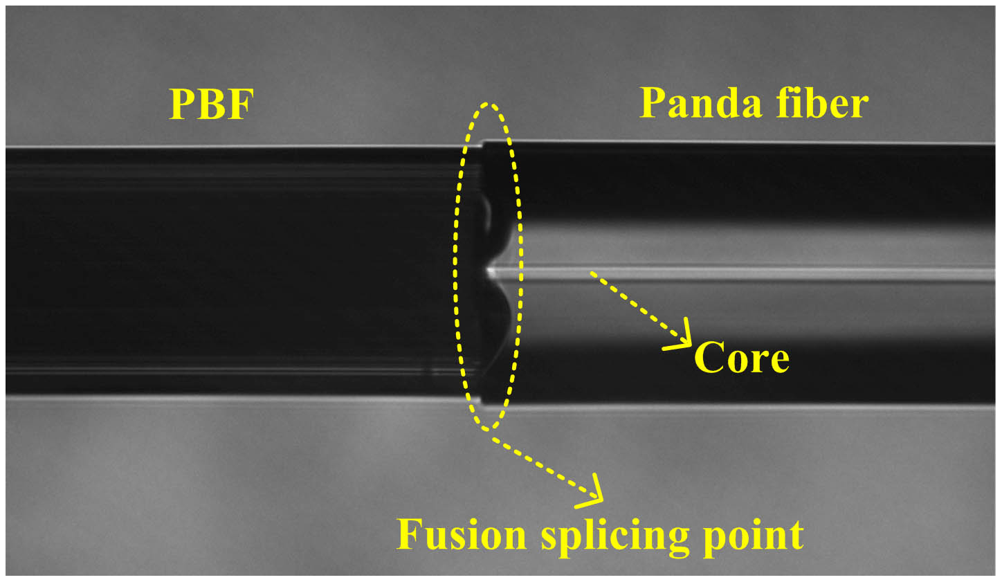 Cross section of the fusion splicing point between the PBF and the conventional Panda fiber.