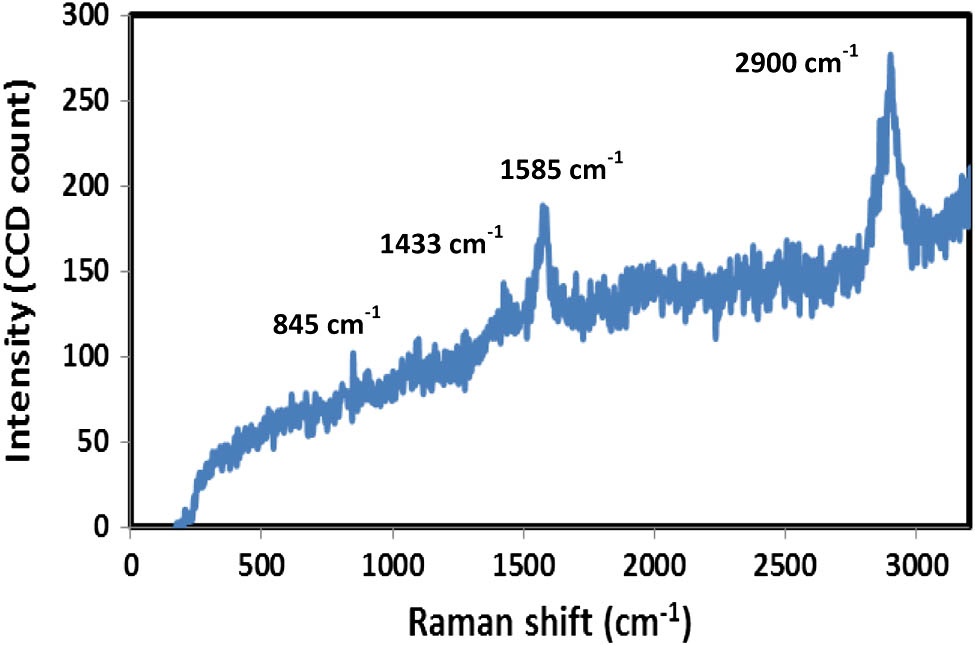 The Raman spectrum obtained from the MWCNT-PVA film.