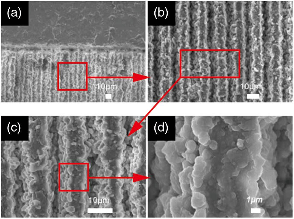 SEM images of the pulsed-laser irradiated PDMS surface under different magnifications.