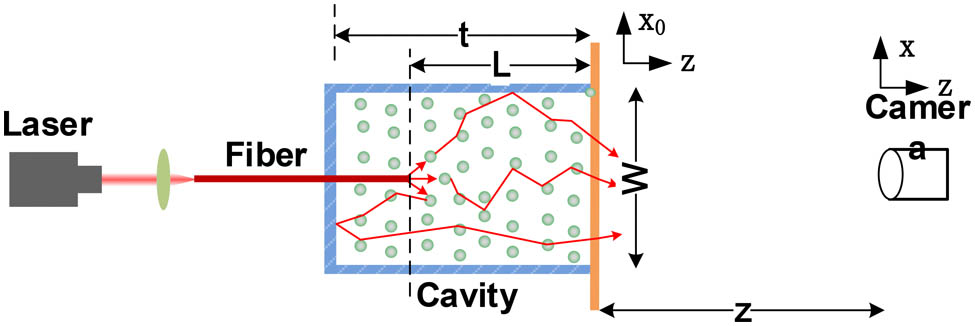 Optical schematic of the calibration source system. The cavity, which is made of a highly reflective material, is filled with a scattering medium.