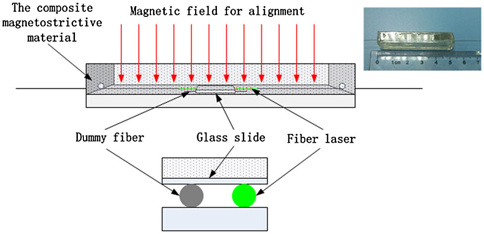 The fabricated fiber-optic magnetic field sensor created by embedding a heterodyning fiber laser into an epoxy resin-bonded magnetostrictive composite material with Terfenol-D particles incorporated.