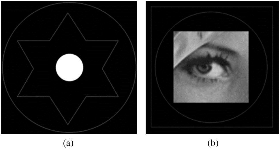Object images (a) “star” and (b) “eye”.