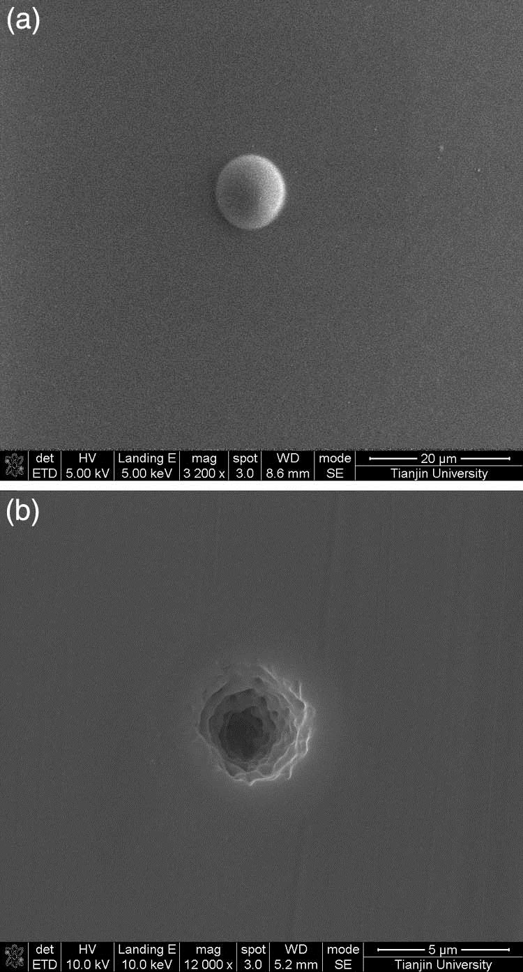 SEM images of the femtosecond laser-ablated craters with (a) 5 and (b) 40 ms exposure time on the PMMA.