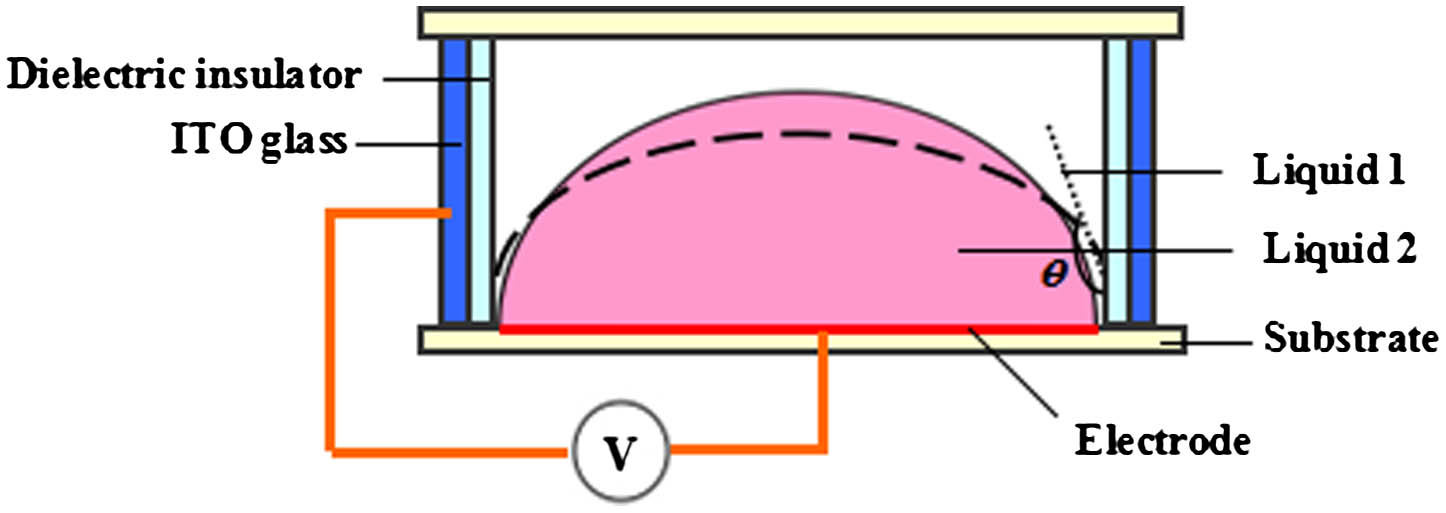 Structure of the liquid lens.