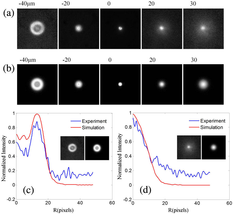 Defocused fluorescent particle: (a) experimental images, calibrated magnification of 15.1; (b) simulated images; (c) intensity distribution at z=−40 μm; (d) intensity distribution at z=30 μm. Each image is 106 pixels×106 pixels, 6.45 μm/pixel at the imaging plane.