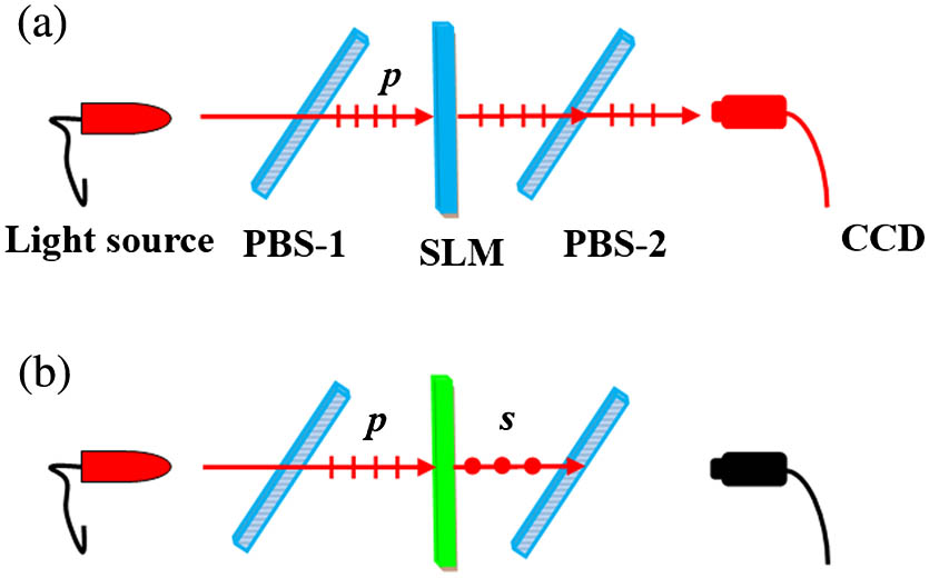Principle of the optical attenuator: (a) initial state; (b) loading a grayscale with phase π on the SLM.
