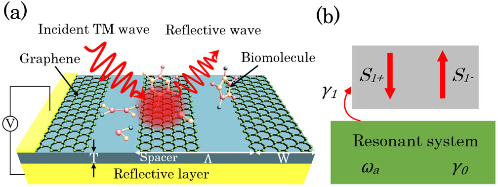 (a) Schematic of the biosensor based on graphene plasmonics and (b) the temporal coupled theory description of the coupling among the incident light, reflected light and the device.