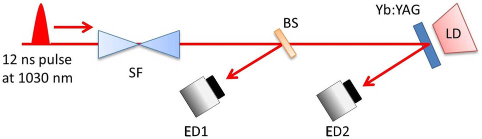 Test amplifier scheme. BS, beam splitter; ED, energy detector; SF, spatial filter.