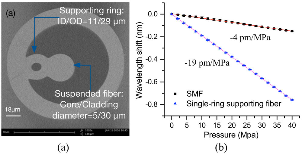 (a) SEM photo of a single-ring supporting MOF and (b) the pressure response measured using an FBG on this fiber[15].