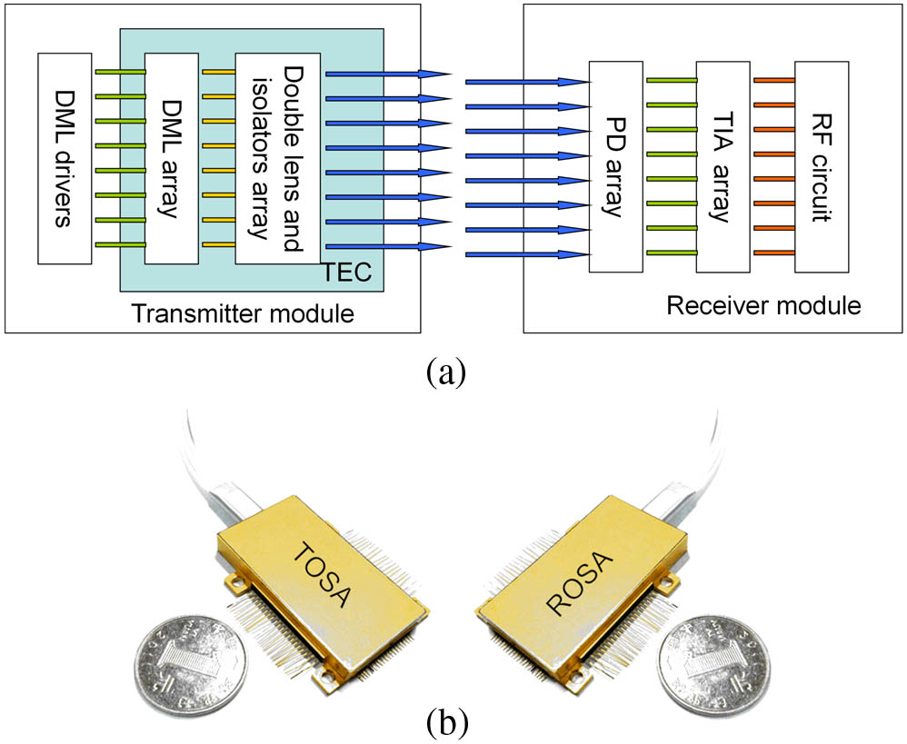 (a) Schematic arrangement of the hybrid-integrated TOSA and ROSA module. (b) Photograph of the TOSA and ROSA.