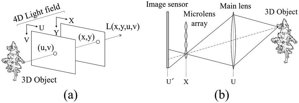 4D light field function. (a) Overview and (b) plenoptic camera.