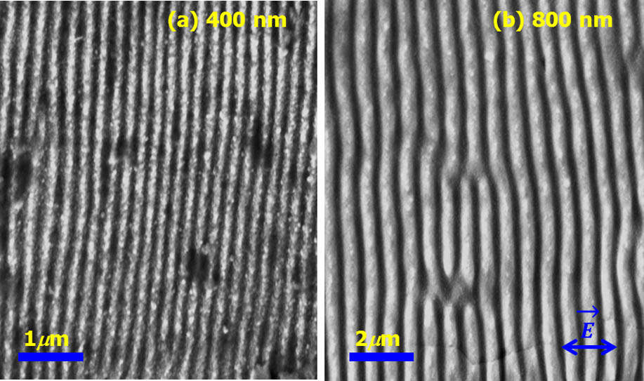 SEM images of grating structures on a W metal target induced by a fs-laser with wavelengths of (a) λ0=400 nm and (b) λ0=800 nm.