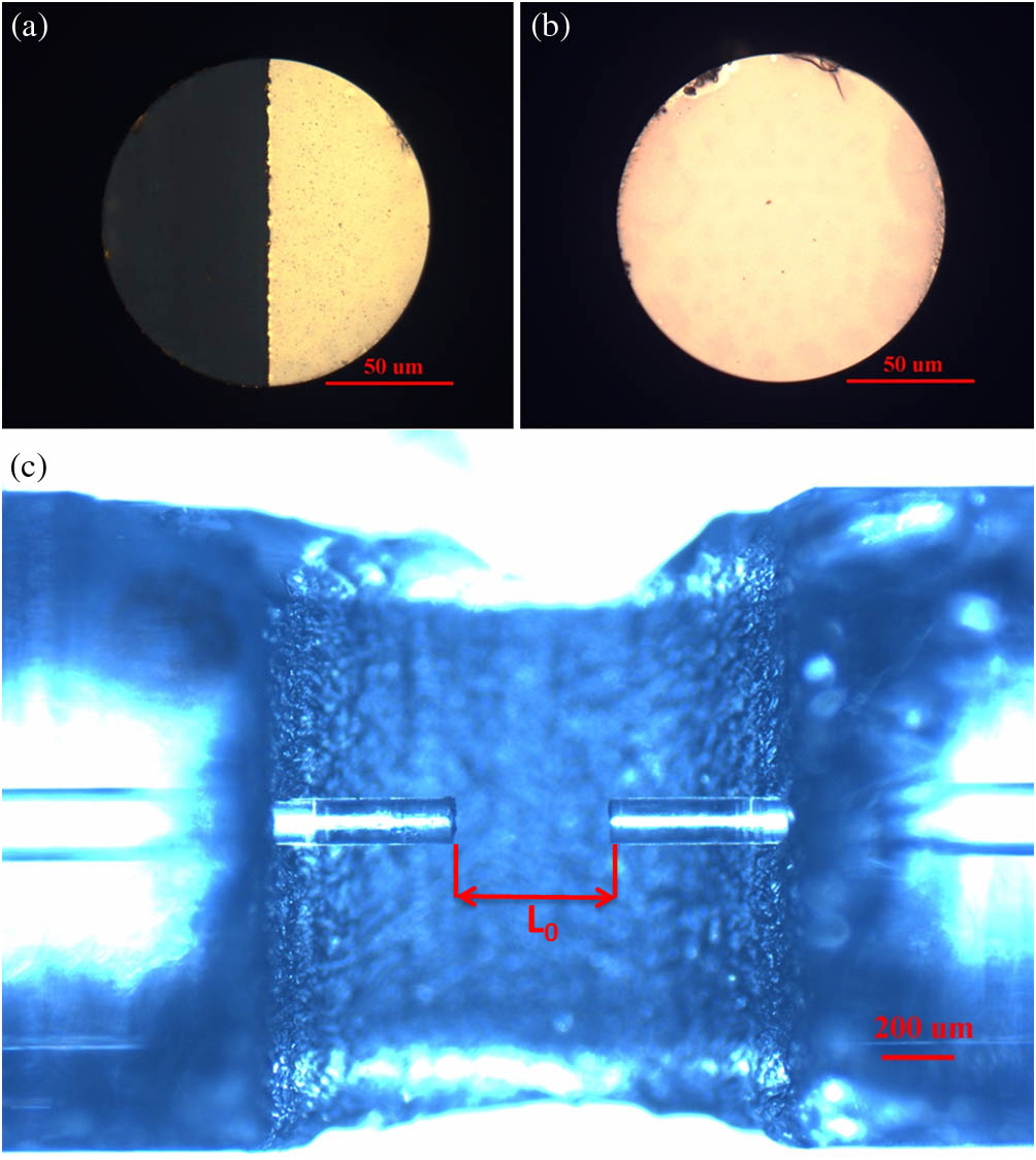 Microscope images of the (a) fiber end face A, (b) fiber end face B, and (c) whole assembly.
