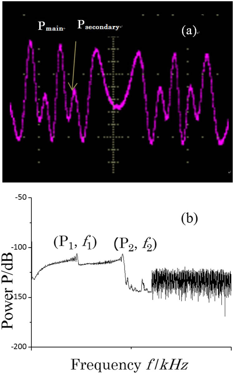Typical LSM signal: (a) waveform, and (b) power spectrum.