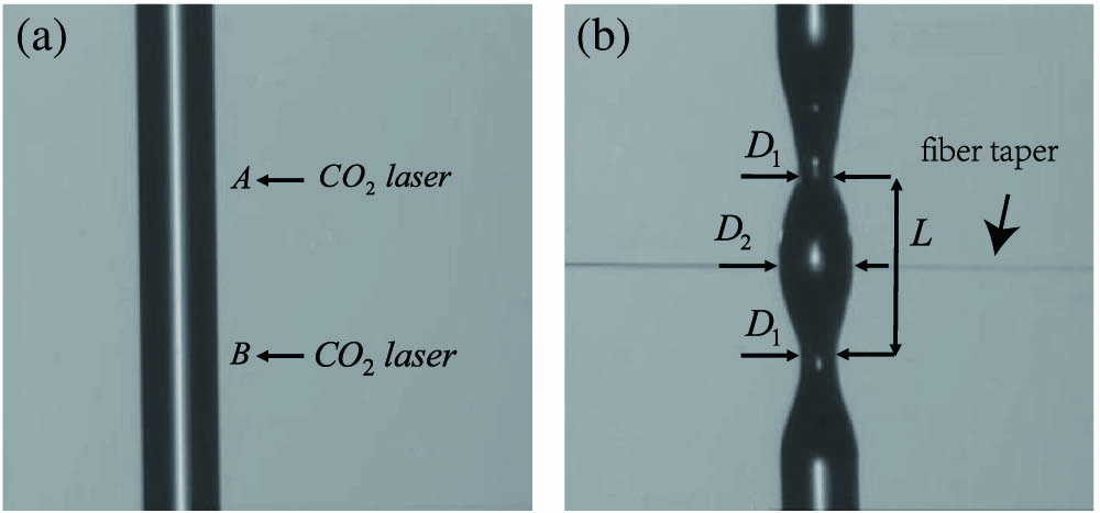 (a) Method to fabricate the fiber bottle microresonator. The fiber is heated by a CO2 laser to make two microtapers at positions A and B under the pull of the gravity. Then they will form a bottle microresonator. (b) The bottle resonator studied in the experiment. The long horizontal line is the fiber taper.