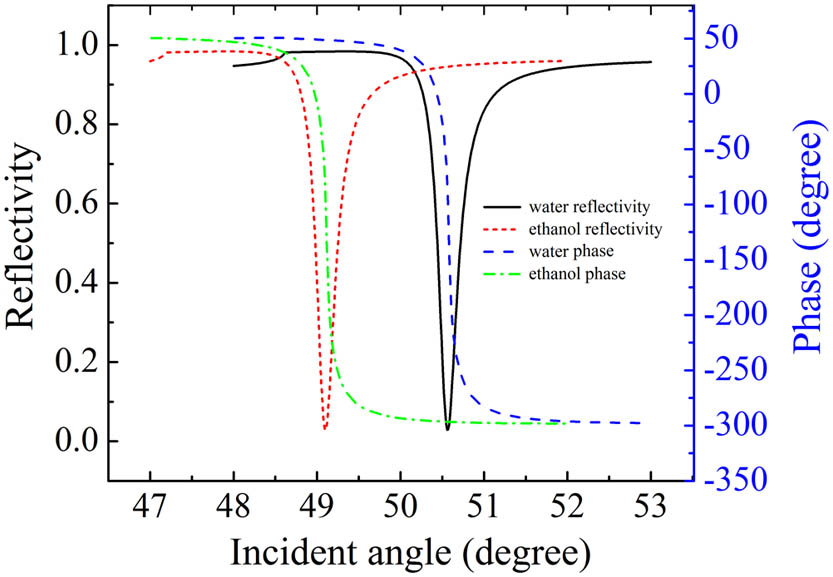 Theoretical calculations of the reflectivity and phase angle of the p-polarized light. The samples are water and ethanol in the new system. The wavelength of the He–Ne laser is 632.8 nm, and the refractive indices of glass, water, ethanol, Ag, and air are 1.516, 1.333, 1.362, 0.0564+4.271i[30], and 1, respectively. The thickness of the Ag film is 50 nm, and the thickness of the glass slide is 170 μm.