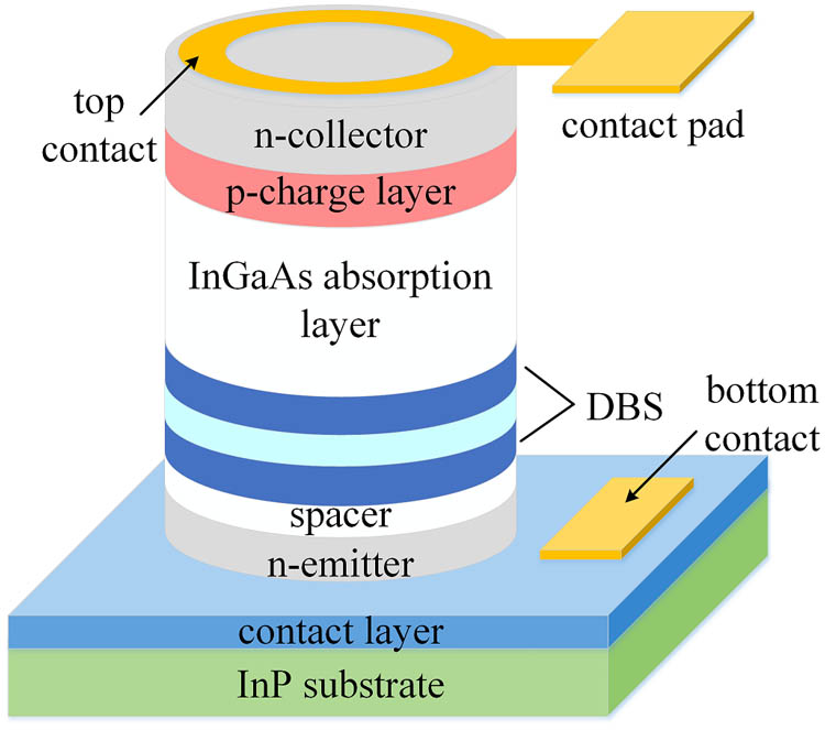 Structure of the detector. The absorption layer consists of 500 nm intrinsic In0.53Ga0.47As and the DBS consists of 1.4 nm AlAs, 6 nm In0.53Ga0.47As and 1.4 nm AlAs. A 30 nm In0.53Ga0.47As p-charge layer with doping concentration of 1×1018 cm−3 is added to modulate the band energy of the detector.