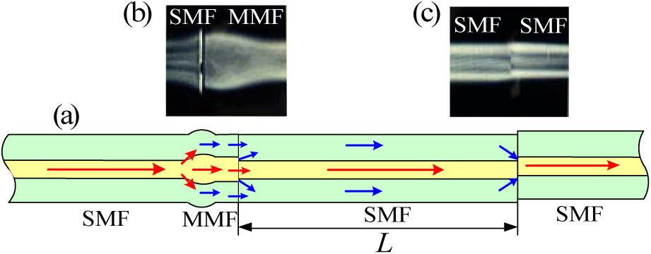 (a) Schematic configuration and principle of the proposed sensor. (b) Microscopic image of the bitaper. (c) Microscopic image of the core-offset joint.