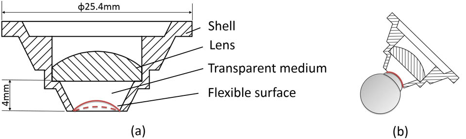 Schematic design of the probe. (a) The structure of the contact probe for rats; (b) the surface of the soft gel can slightly change shape to adapt to different rodent eyes.
