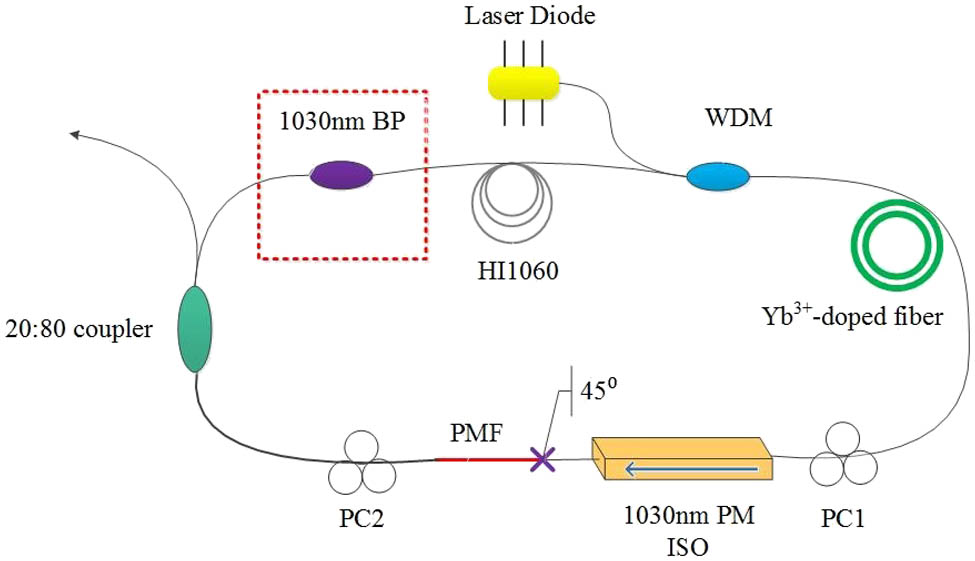 Schematic of the experimental setup. WDM, wavelength division multiplexer; BP, bandpass filter.