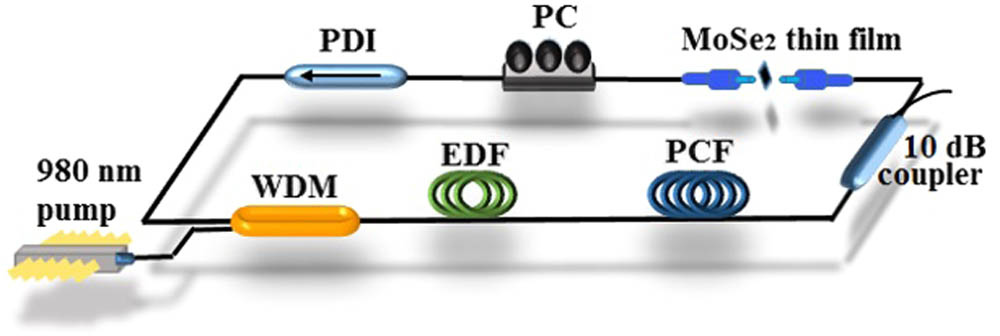 Schematic diagram of the proposed multi-wavelength EDFL.