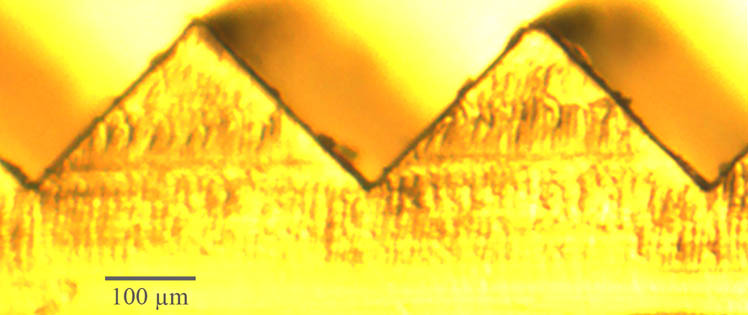 Image of a cross section of the prism film used to analyze the contour (57×).