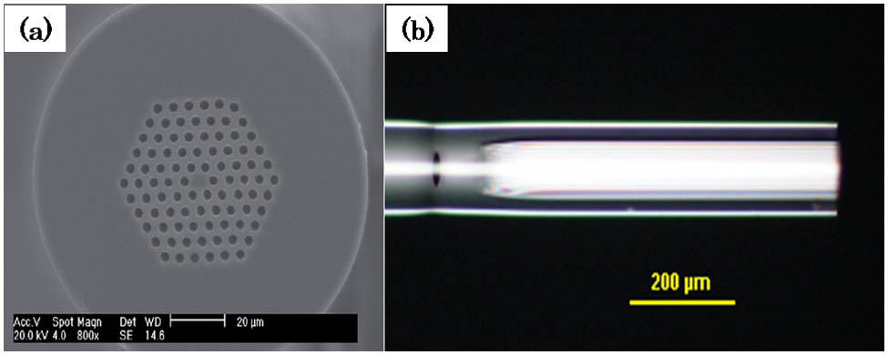 Microscopic image of (a) cross-sectional image of PCF and (b) sensing head.