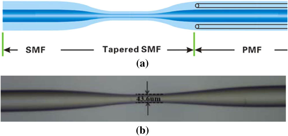 (a) Schematic configuration of the sensor; (b) microscopic image of the tapering structure.