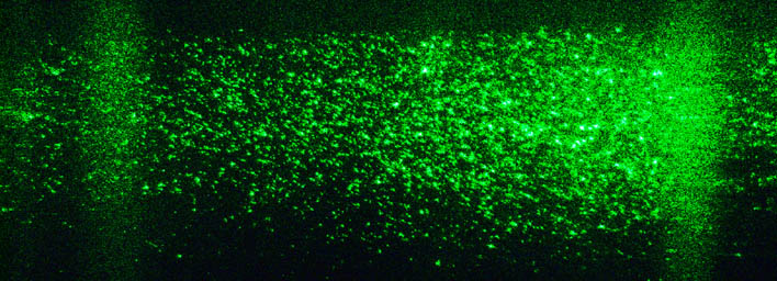 Scatter image of the bulk damage sites resulting from a single-shot 532 nm, 6.5 ns laser pulse with fluence of around 7.76 J/cm2.