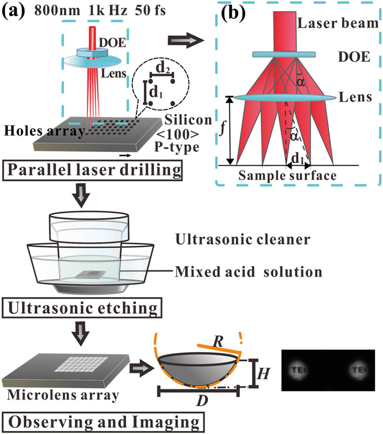(a) Schematic diagram of parallel fabrication process of MLAs. (b) Optical setup of multi-beam femtosecond laser irradiation showed in dashed box in (a).