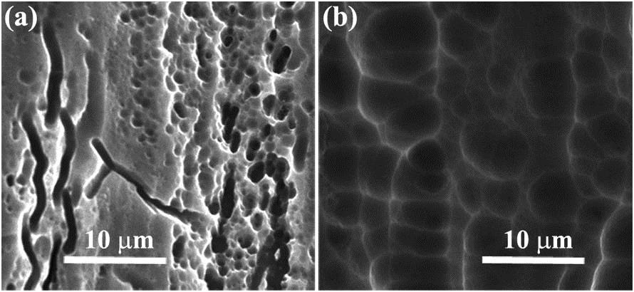 Typical etched surface morphologies of laser-cut silicon in mixed acid (a) HF∶HNO3=10∶1 and (b) HF∶HNO3=1∶6 after 2 min.