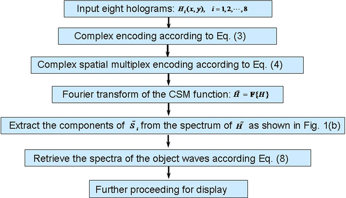 Flowchart of the CSM algorithm for fast reconstruction of off-axis holograms.