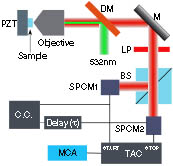 Schematics of the experimental configuration with a home-built confocal microscope setup and HBT measurement. The diamond sample with a NV center on the piezo-stage (PZT) was excited by a continuous laser (λ=532 nm) through an objective with N.A.=0.9. The dichroic mirror (DM) was used to reflect the pump beam and transmit the fluorescent photons. The long pass (LP) filter further blocked the pump photons. The BS separated the photons into two SPCMs, followed by two g(2)(τ) measurement schemes.