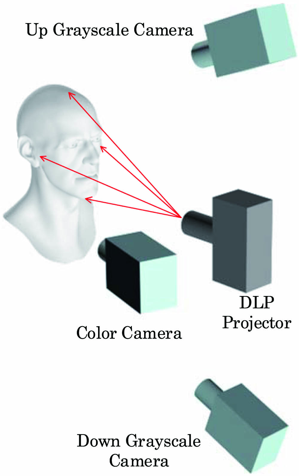 Schematic view of the active binocular 3D setup.