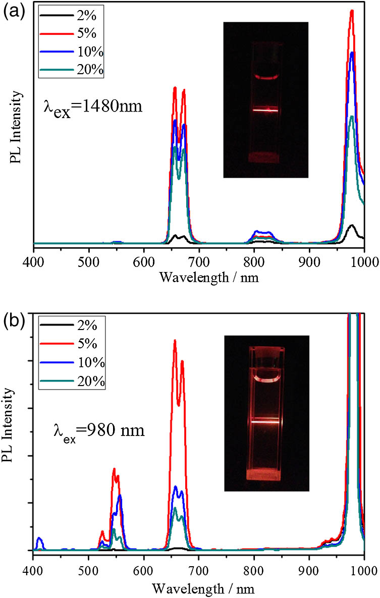Spectra of Er3+-doped Na3ZrF7 NPs with different Er3+ concentrations excited by (a) 1480 and (b) 980 nm lasers. The insets are the photographs of the Na3ZrF7:5%Er3+ NPs dispersed in hexane.
