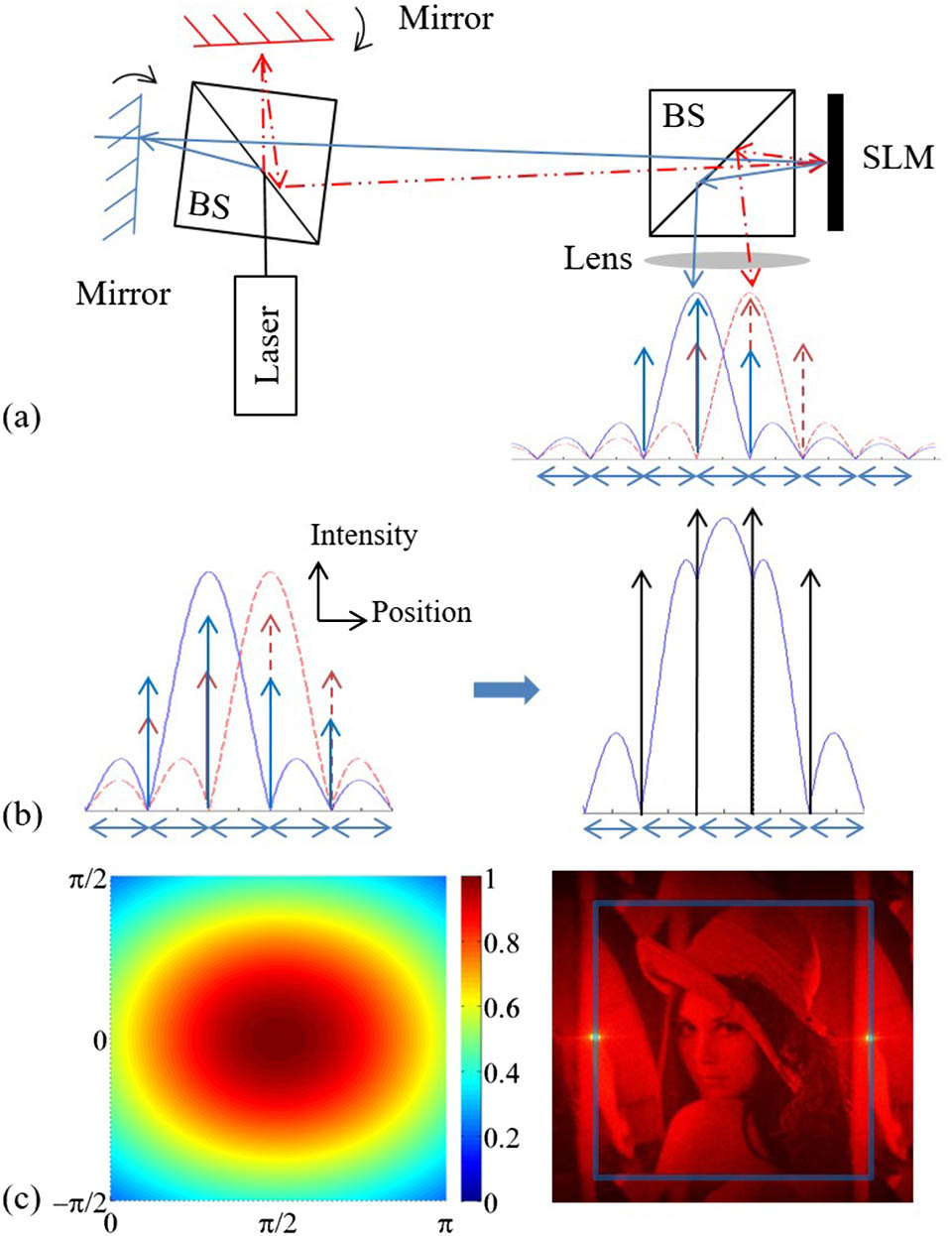 (Color online) (a) Optics setup illustration. Two laser beams, split from the same beam by a beam splitter (BS), are colored with red dashed lines and blue straight lines. The 1D cross section intensity profile is also illustrated underneath; (b) left, the matching of two 1D cross section intensity profiles; right, the intensity profile after overlapping two profiles, while the black arrows mean the bright spots; (c) left, the intensity 2D distribution of the image region; right, the physical reconstructed Lenna image with the outline square box corresponding to the area of the intensity distribution on the left. The reconstruction applies multiple frames with random phase to reduce the speckle noise[13].