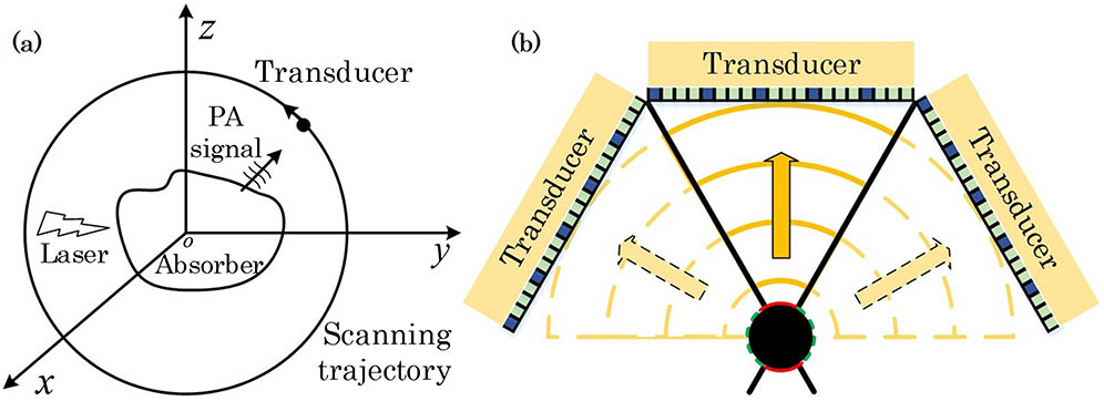 Theoretical model of the synthetic aperture PAT. (a) Ideal PA signal generation and detection. (b) Synthetic aperture configuration with 1/4 DAQ channels.