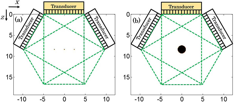 Conceptual model of synthetic aperture PAT. (a) Image resolution simulation. (b) Limited-view simulation.