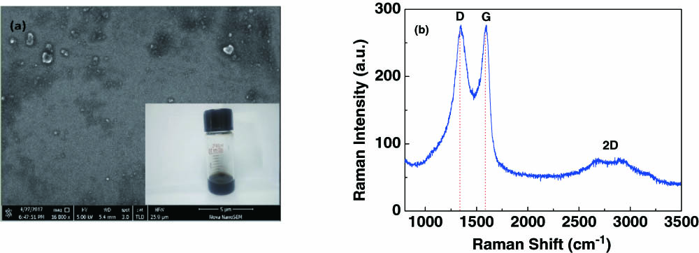 Characterization of graphene oxide-COOH nanosheets. (a) SEM image, the inset shows graphene oxide-COOH solution; (b) Raman spectra.